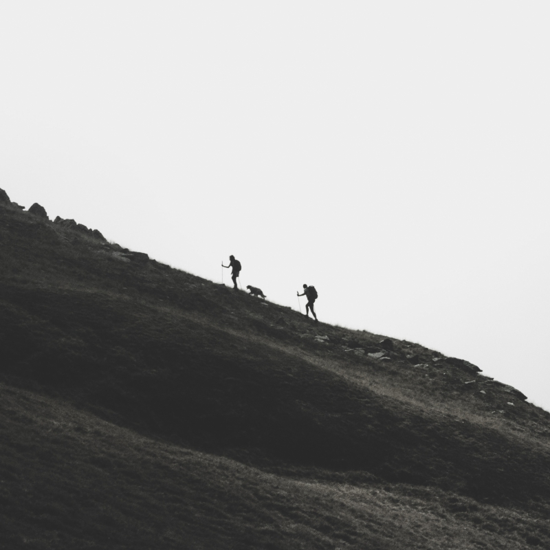 Staying Sane – The Jane Shemilt Blog