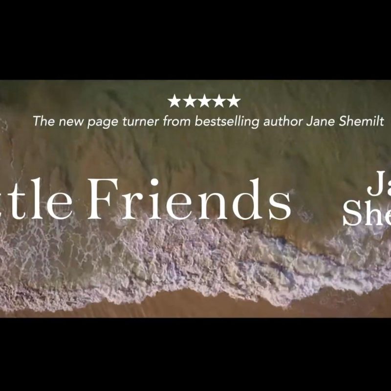 Still from trailer for Little Friends – Jane Shemilt